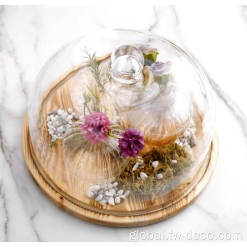 Glass Dome Lid Glass Cloche Bell Jar Display Dome cover Factory